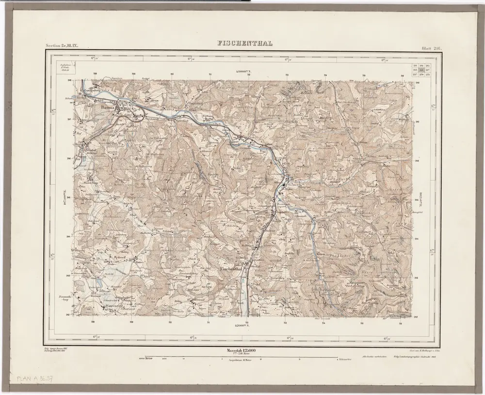 Topographischer Atlas der Schweiz (Siegfried-Karte): Den Kanton Zürich betreffende Blätter: Blatt 216: Fischenthal