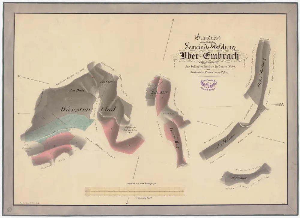 Oberembrach: Gemeindewaldung: Dürstental (Dürstenthal), Loch, Böl (Bühl), Holzrüti, Vorderholz, Müsen (Mäusen), Hinterrüti (Hinter Rütiberg), Mülistatt (Mühlistatt); Grundriss