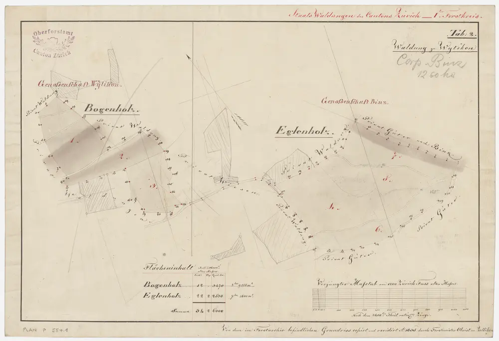 Witikon, Maur, Zollikon: Genossenschaftswaldungen Witikon und Binz: Bogen, Egglen (Eglenholz); Grundrisse (Tab. 2)