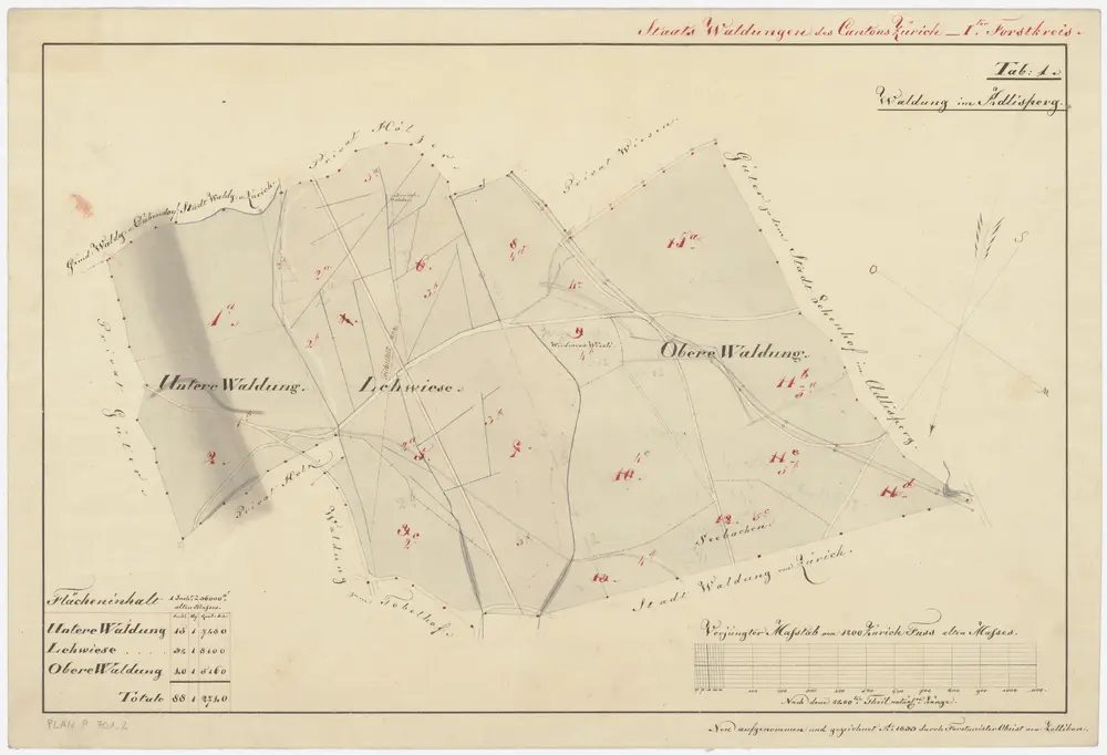 Hirslanden, Hottingen, Oberstrass, Schwamendingen, Zürich: Spital- und Staatswaldungen auf dem Zürichberg und dem Adlisberg: Hottingen: Waldung Adlisberg mit Unterer Waldung, Lehwiese, Oberer Waldung; Grundriss (Tab. 1)