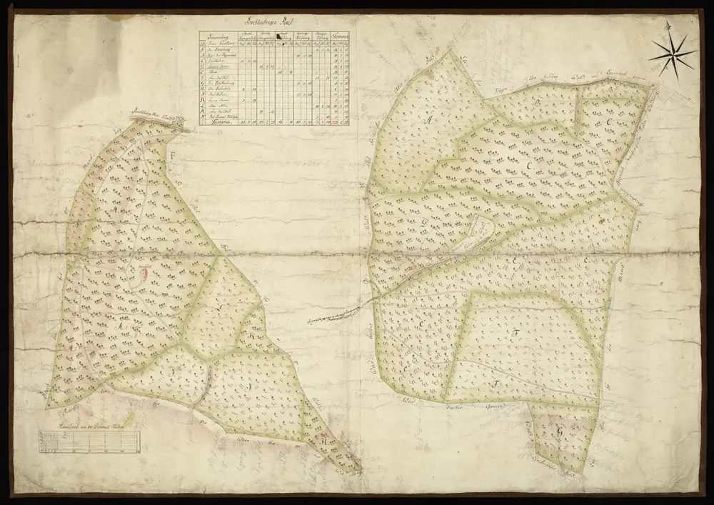 HZAN GA 100_Nr. 72_ : Forchtenberg; "Forchtenberger Forst";ohne Verfasser;Maßstab 60 Dezimalruten = 14 cm;101 x 72 cm; Norden oben;Papier auf Leinwand; Federzeichnung; Wald, auch Baumbestand in Wasserfarben; oben Waldschläge nach Größe und Baumbestand.