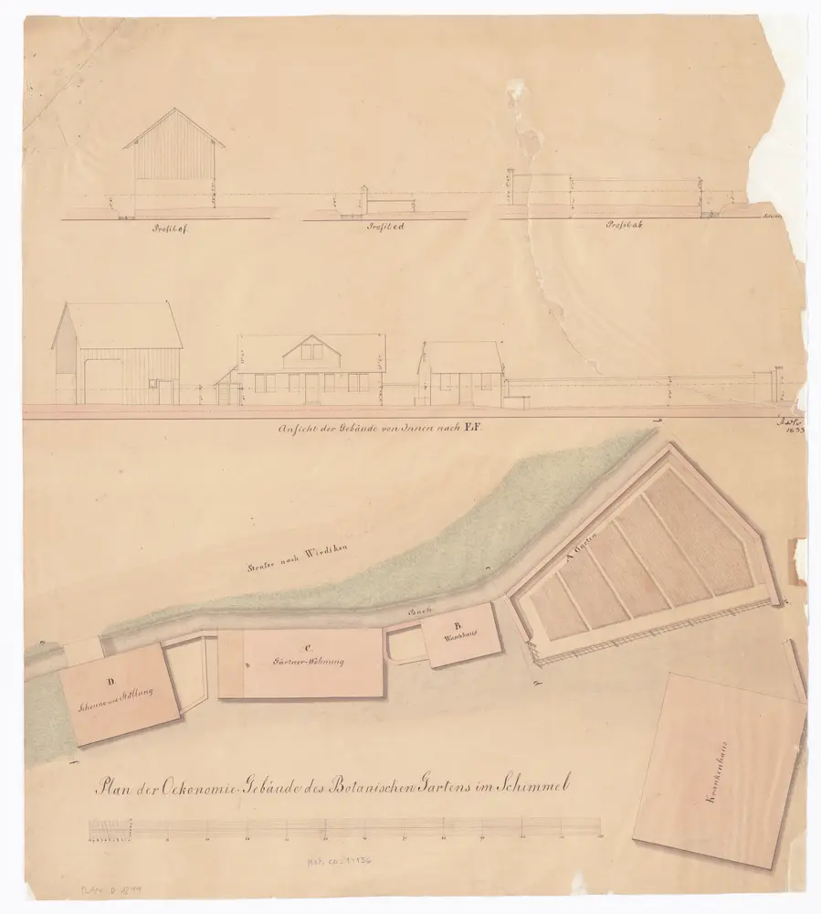Botanischer Garten, Ökonomiegebäude im Schimmel: Situationsplan, Ansicht und Schnitt