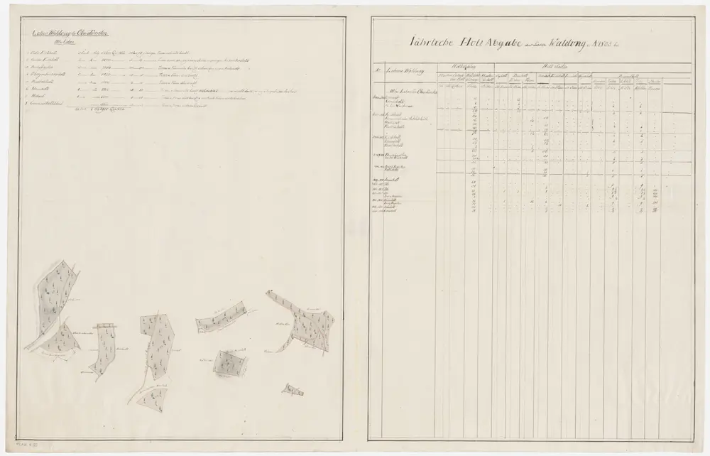 Dürnten: Dem Amt Rüti gehörende Lehenwaldung in Oberdürnten (III. Lehen); Grundrisse (XVII. Planche)