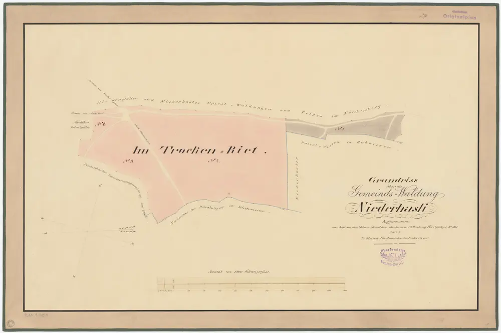 Niederhasli: Gemeinde- und Genossenschaftswaldungen: Gemeindewaldung Trochenriet (Im Trocken Riet); Grundriss