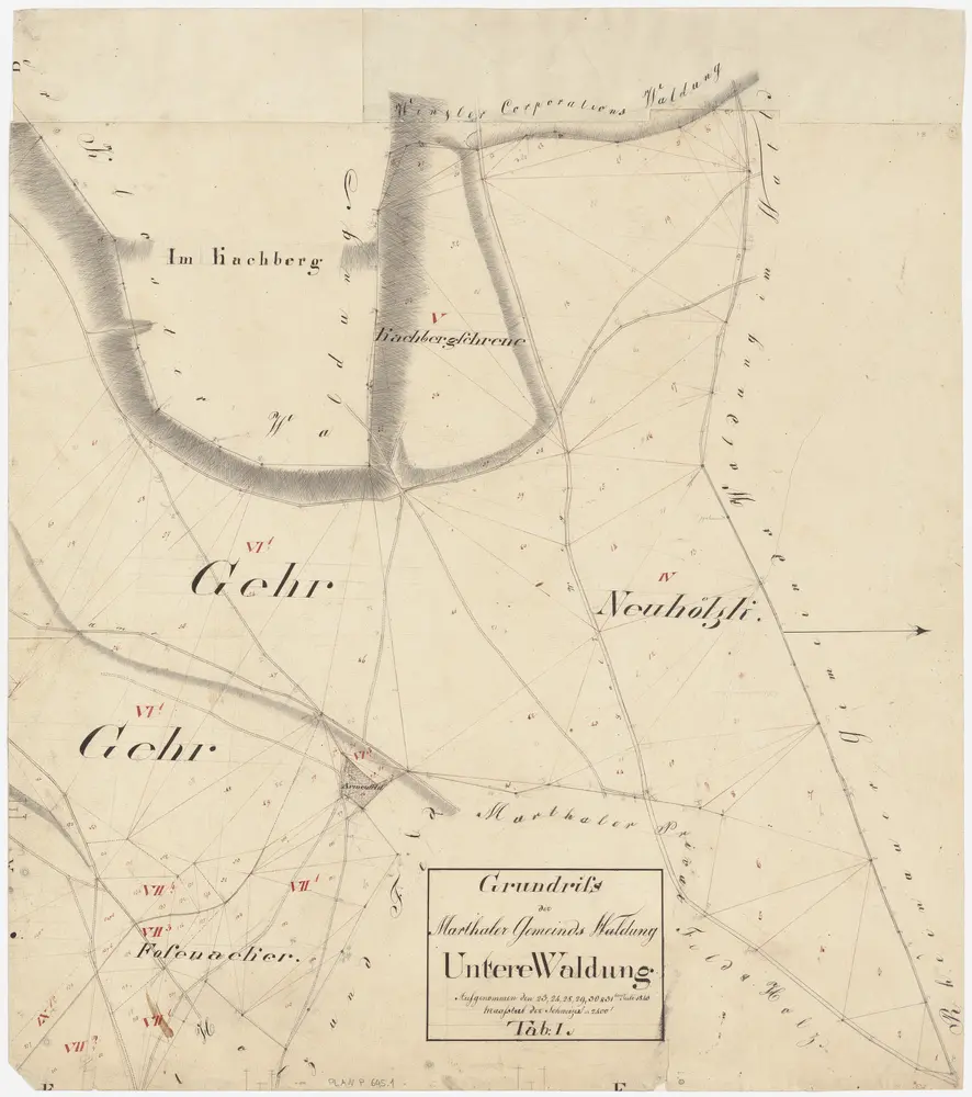 Marthalen: Gemeindewaldung: Untere Waldung mit Ger (Geer, Gehr), Neuhölzli, Chachberg (Kachberg), Fosenacker; Grundriss (Tab. I)