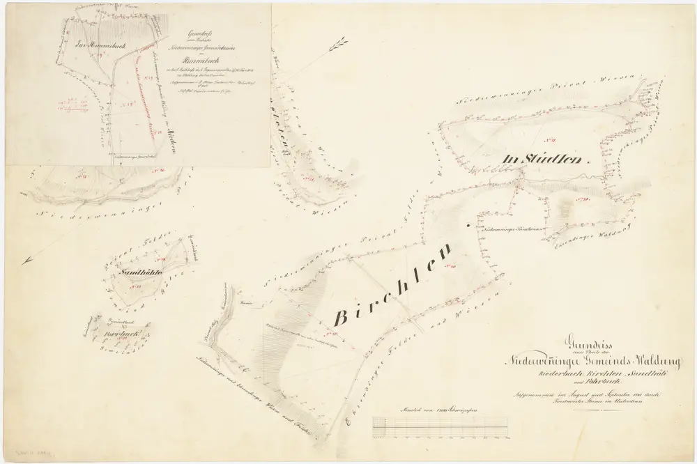 Niederweningen: Gemeindewaldung: Birch (Birchlen), Stüdlen, Sandhöli (Sandhöhle), Forenbuk (Forrbuck), Rieden (Riedern), Hangleten, Himibuck (Himmibuck); Grundrisse