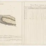 Wädenswil: Dem Amt Küsnacht gehörende Waldung (Waldbezirk Auwald); Grundriss (V. Planche)