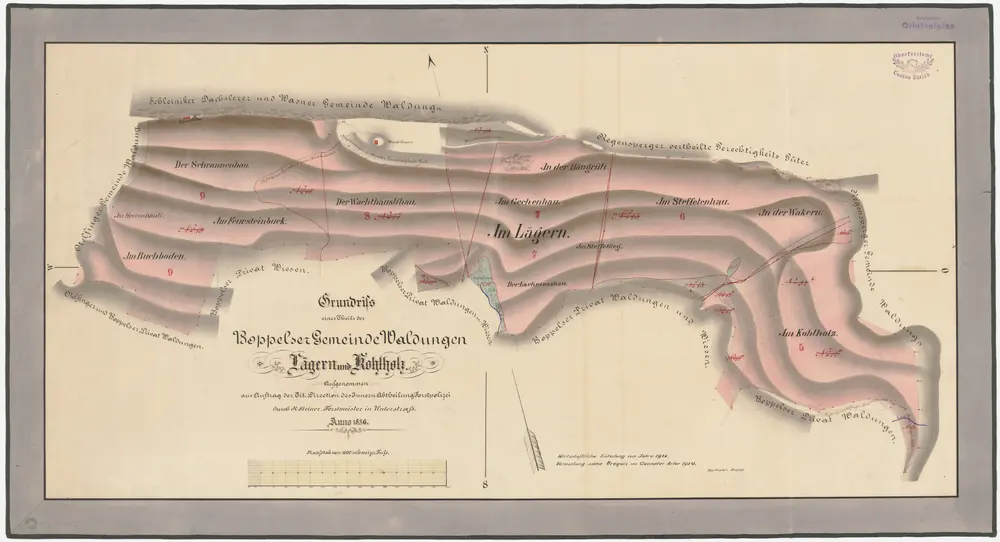 Boppelsen: Gemeindewaldung: Buechboden, Schrannenhau, Fürstenbuck (Im Feursteinbuck), Wachthüslihau (Wachthäuslihau), Hangrüti (Hängrüti), Lägern, Gechenhau, Stäffetenhau (Steffetenhau), Lochmoos (Lachmoos), Wackern (Wäkern), Cholholz (Kohlholz); Grundriss