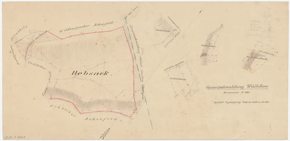 Trüllikon: Gemeindewaldung: Hebsack, Münchenloch, Chalberschwanz (Kalberschwanz), Martinsbühel, Krähenbuck; Grundrisse