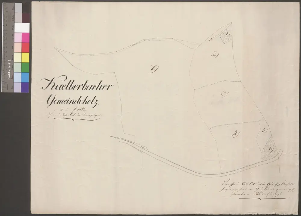 HZAN GA 100_Nr. 167_ : Kälberbach (Kr. Crailsheim); "Kälberbacher Gemeindeholz, genannt die Struth" [einfache Vermessungskarte];Geometer Schwab in Wildentierbach;ohne Maßstab;61 x 48 cm;Papier; Federzeichnung.