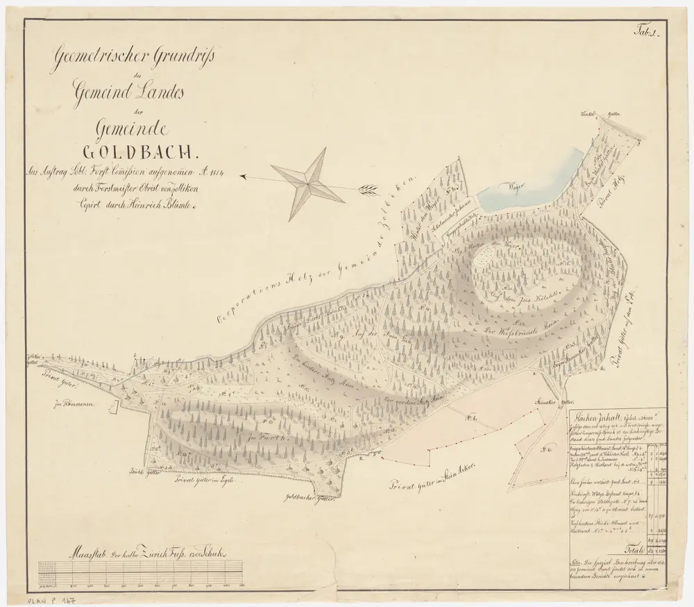 Küsnacht: Gemeindeland (vor allem Waldungen) von Goldbach; Grundriss (Tab. 1)