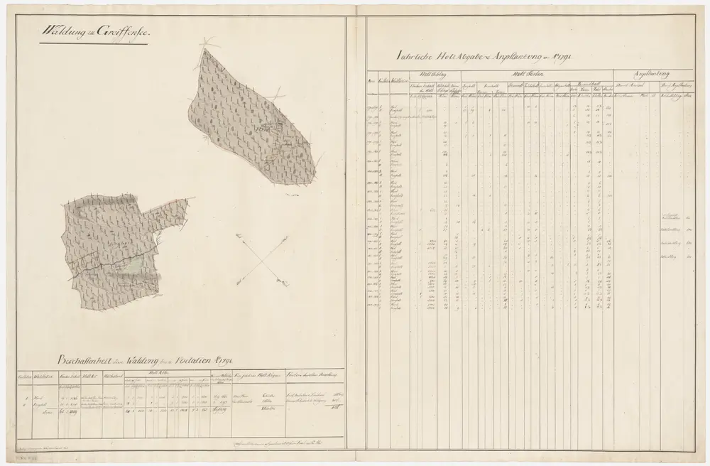 Greifensee: Dem Obmannamt gehörende Waldung (Waldbezirke Hard und Jungholz); Grundrisse (I. Planche)