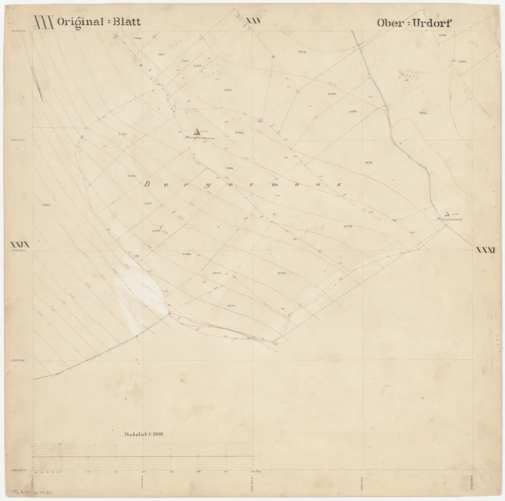 Oberurdorf: Gemeinde; Katasterpläne: Blatt XXX: Bergermoos; Situationsplan