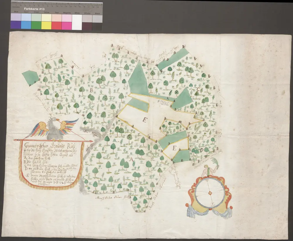 HZAN GA 100_Nr. 210_ : Künzelsau; "Geometrischer Grundriß über die Hölzer, so in Hefenhofen liegen";ohne Verfasser;ohne Maßstab;63 x 45,5 cm; Norden unten;Papier; Wasserfarben; Grenzsteine angegeben.