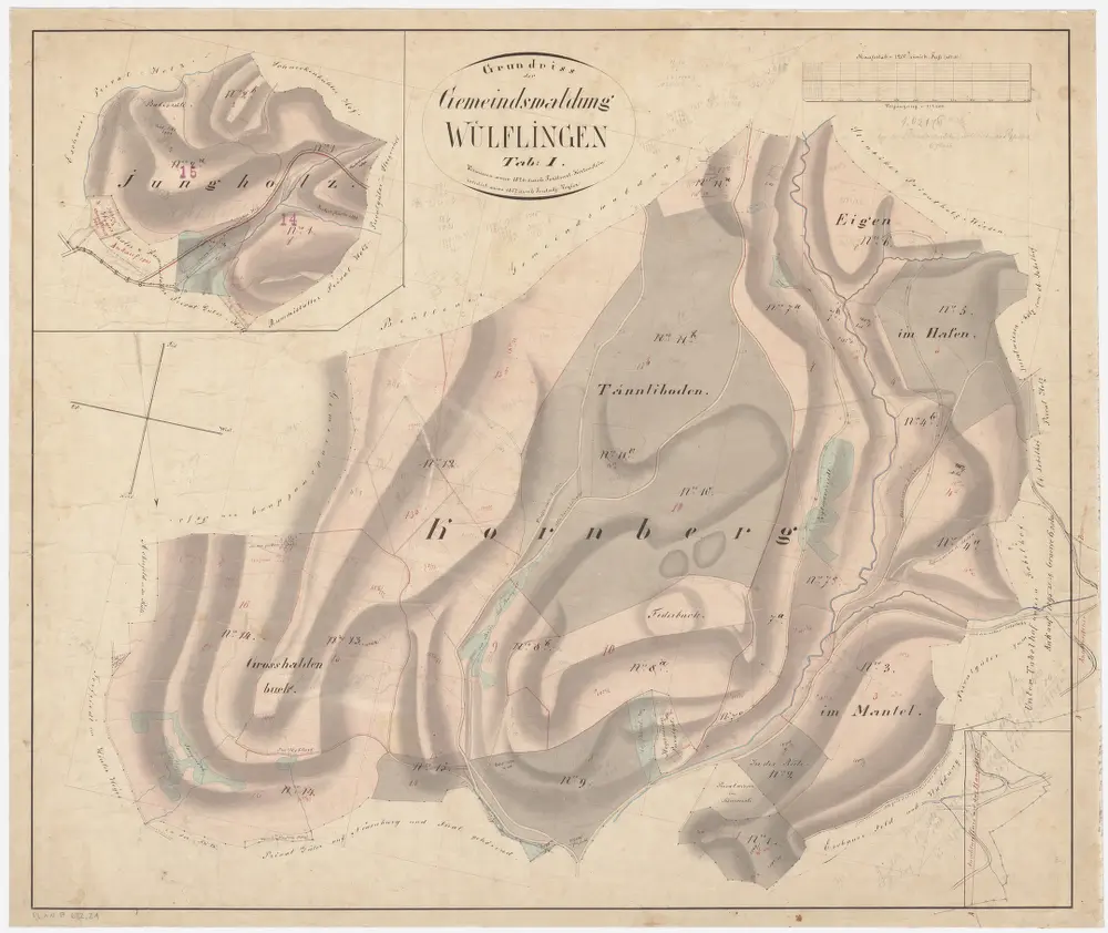 Wülflingen: Gemeinde- und Kirchgemeindewaldungen: Gemeindewaldungen Chomberg (Kornberg), Jungholz; Grundrisse (Tab. I)