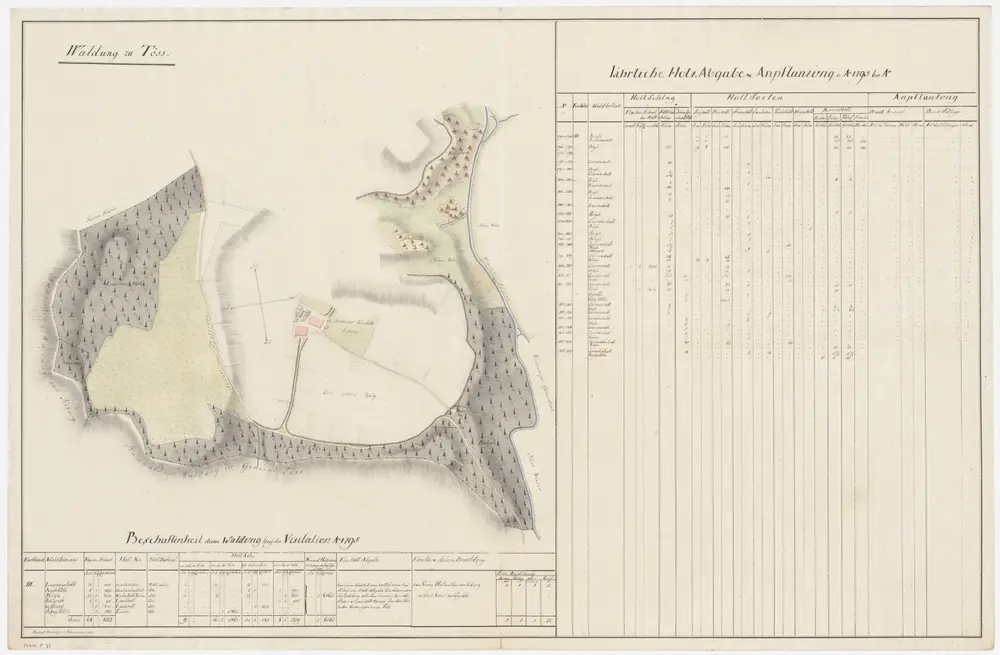 Töss: Dem Amt Winterthur gehörende Waldung (Waldbezirke Leisackerholz, Asphölzli, Bügli, Kollgrub, Im Winkel und Scheitshölzli); Grundrisse (XII. Planche)