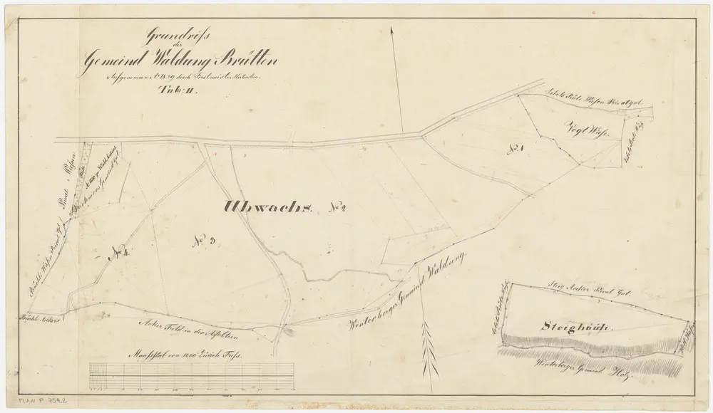 Brütten: Gemeinde- und Genossenschaftswaldungen: Gemeindewaldungen Uewachs (Uhwachs) und Steighäuli; Grundrisse (Tab. II)