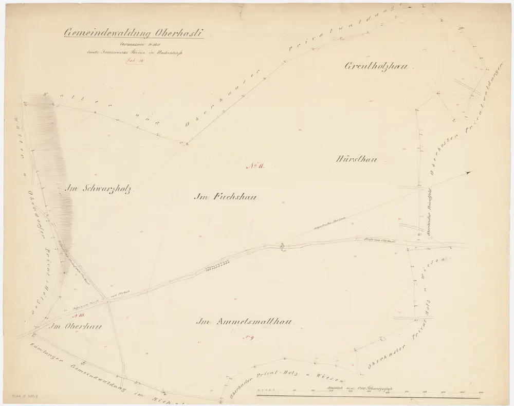 Niederhasli: Zivilgemeindewaldung Oberhasli: Fuchshau, Hürst (Hürsthau), Grüt (Greutholzhau), Ametsmatt (Ammetsmatthau), Schwarzholz, Oberhau; Grundriss (Tab. IV)