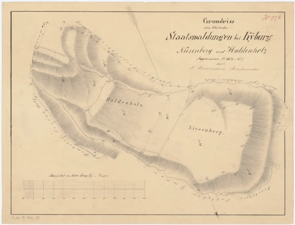 Kyburg, Töss, Illnau-Effretikon (damals Illnau), Schlatt: Staatswaldung: Töss: Niesenbergholz, Haldenholz; Grundriss (Nr. 22 b)