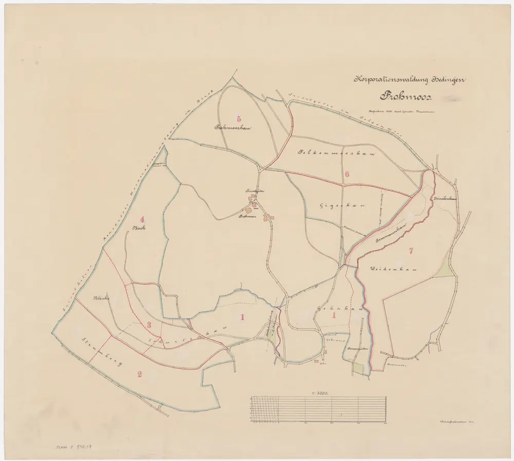 Hedingen: Gemeinde- und Genossenschaftswaldungen: Genossenschaftswaldungen Fromoos (Frohmoos); Grundriss