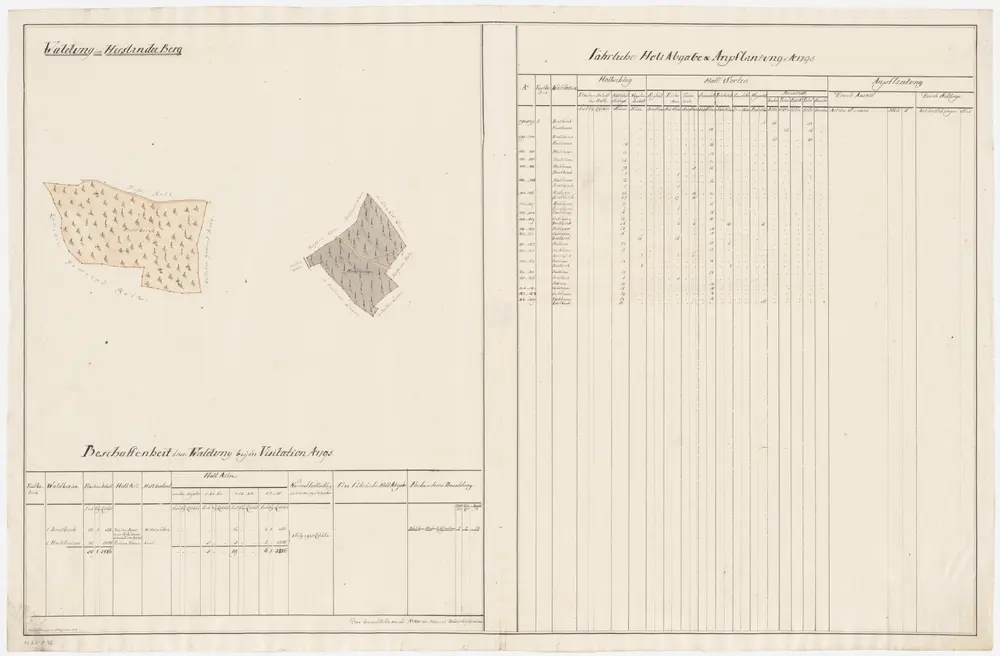 Hottingen: Dem Obmannamt gehörende Waldung auf dem Hirslanderberg (Waldbezirke Hochfurren und Breitbirch); Grundrisse (V. Planche)