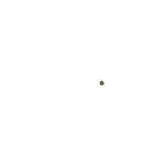 (backlit) Planetary System. Eclipse of the Sun. The Moon. The Zodiacal Light. Meteoric Shower.