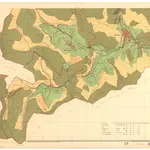 Aftersteg, Stadt Todtnau, LÖ mit Brandenberg, Fahl, Muggenbrunn, Todtnau und Todtnauberg. GLAK H-1 Gemarkungspläne