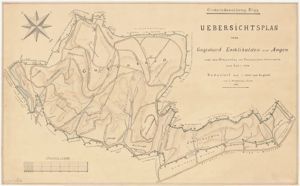 Elgg: Gemeindewaldung: Guegenhard (Gugenhart), Äschlihalde (Eschlihalden), Angen; Grundriss