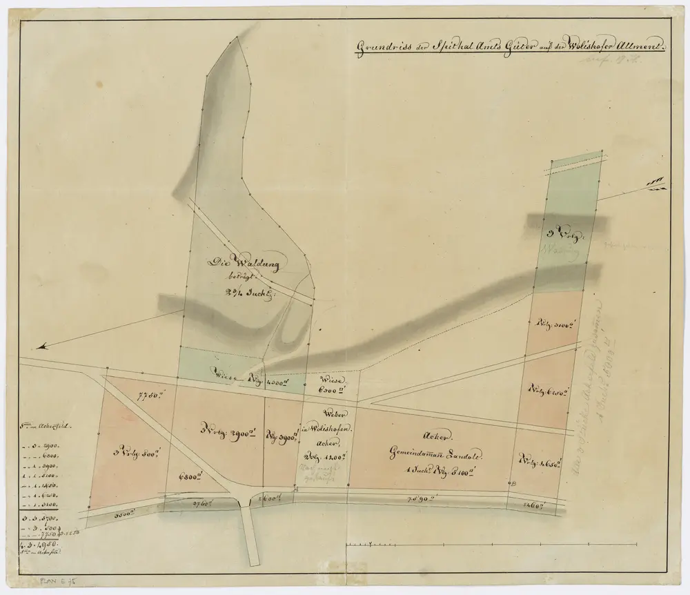 Wollishofen: Dem Spital Zürich gehörende Güter auf der Allmend; Grundriss