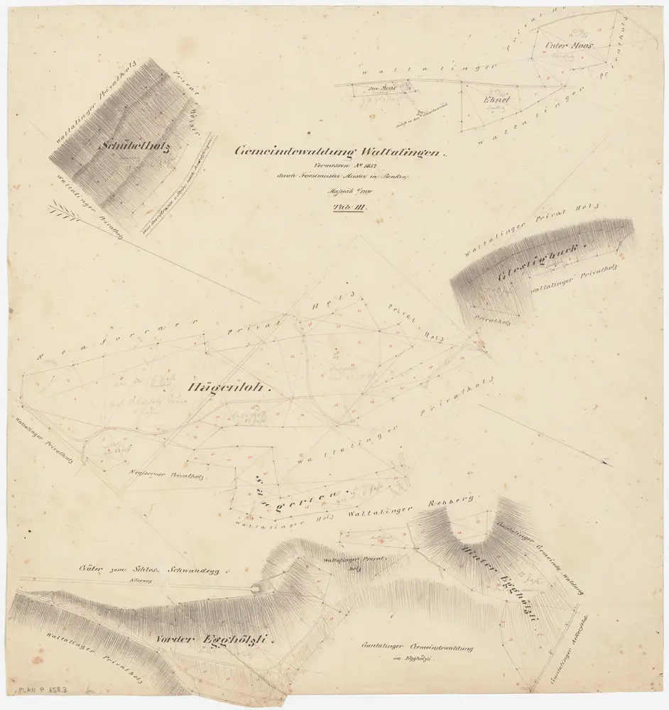 Waltalingen: Gemeindewaldung: Schübelholz, Hägenloo (Hägenloh), Glestigbuck, Sangerten, Vorder Egghölzli, Hinter Egghölzli, Ebnet, Moos; Grundrisse (Tab. III)