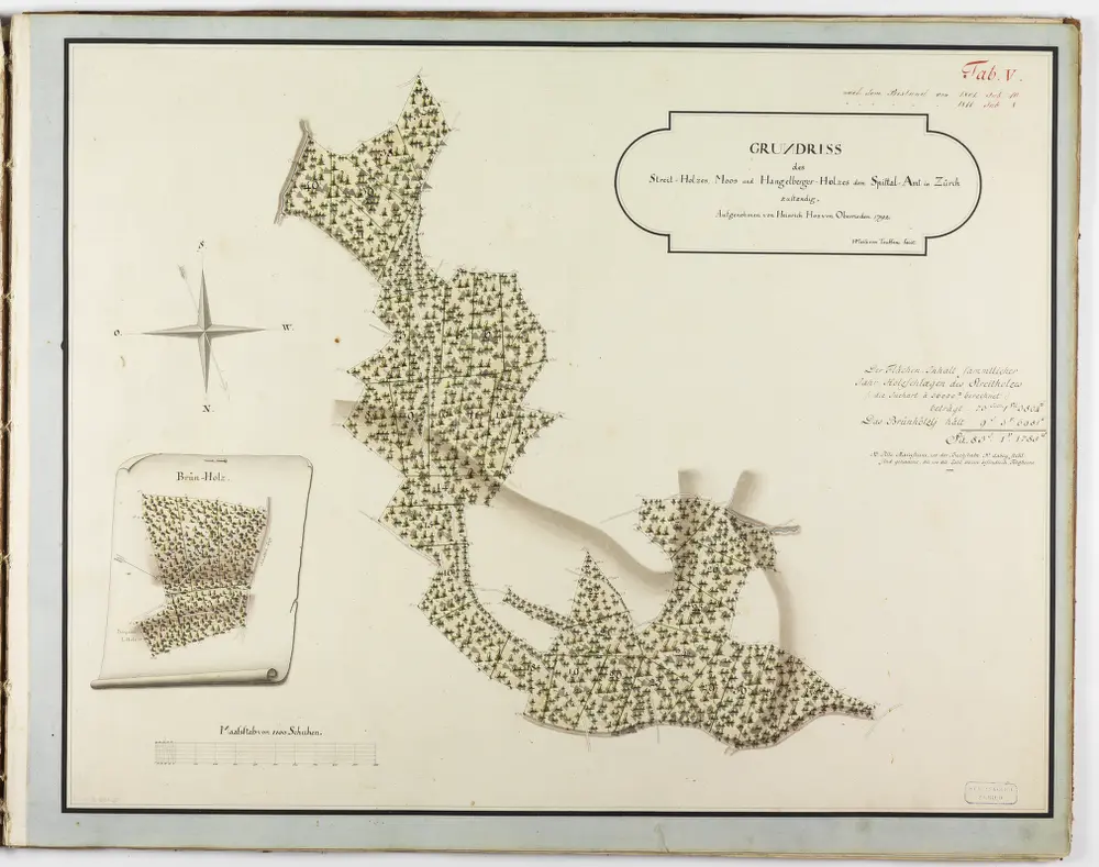 Verschiedene Gemeinden: Sämtliche dem Spital Zürich gehörende Waldungen und Lehenhölzer; Grundrisse: Streit-Holz, Moos- und Hangelberger-Holz