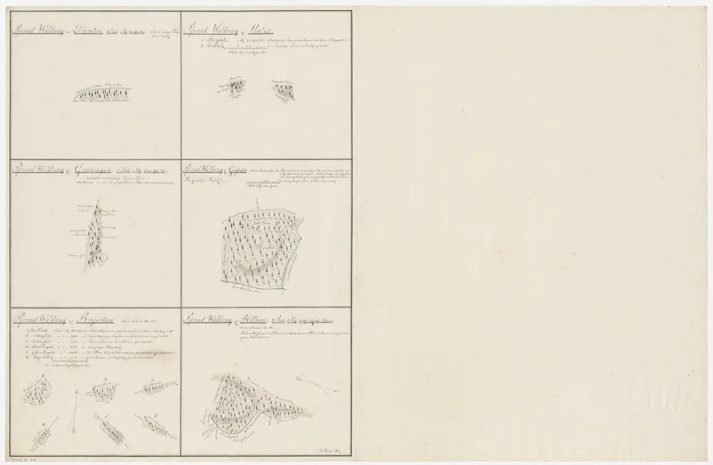 Dürnten, Uster, Grüningen, Gossau, Russikon, Hittnau: Dem Amt Rüti gehörende Waldungen; Grundrisse (XXVI. Planche)