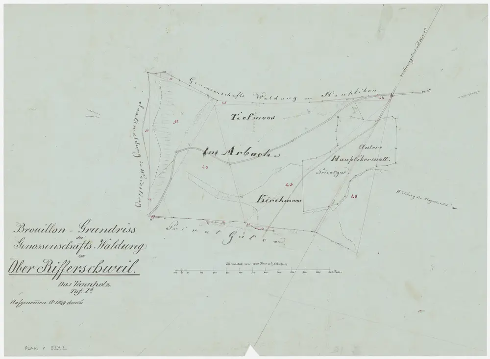 Rifferswil: Genossenschaftswaldung Oberrifferswil: Tannholz mit Unter Hauptikermatt, Tiefmoos, Kirchmoos, Arbach; Grundriss (Tafel 1 b)