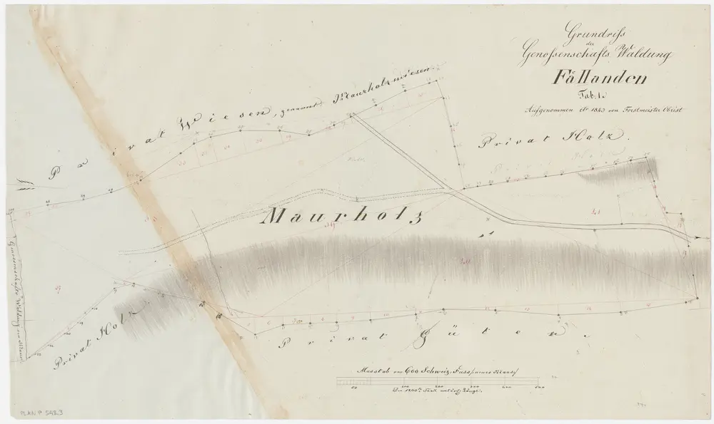 Fällanden: Gemeinde- und Genossenschaftswaldungen: Genossenschaftswaldung Murholz (Maurholz); Grundriss (Tab. 1)