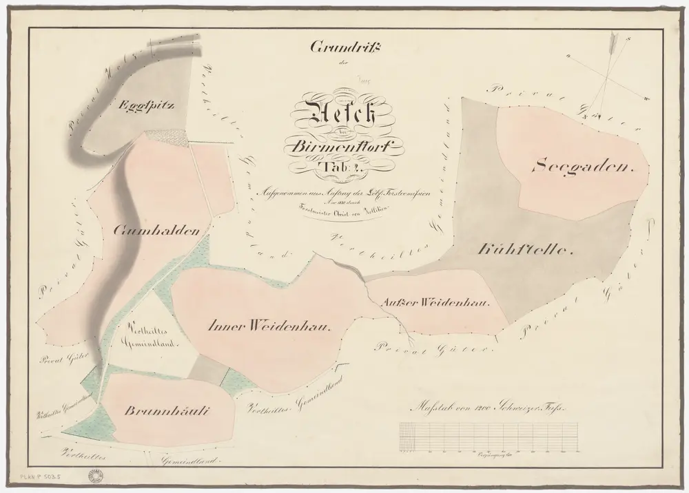 Aesch, Birmensdorf: Waldungen: Aesch: Genossenschaftswaldungen Eggspitz, Gummhalden, Brunnhäuli, Widenhau, Chüestelli (Kühstelle), Seegaden; Grundriss (Tab. 2)