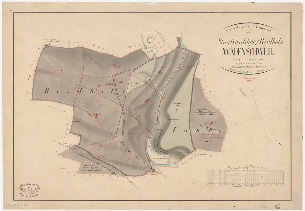 Schönenberg, Richterswil, Wädenswil: Staatswaldungen: Wädenswil: Reidholz, Tann; Grundriss